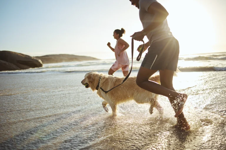 Private obedience lesson — dog obedience training in Fort Lauderdale